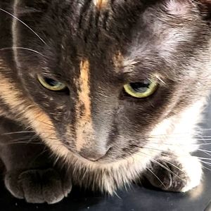 My beautiful Natasha Girl  💘❤️💕